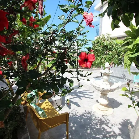 Villa Viva Tropical