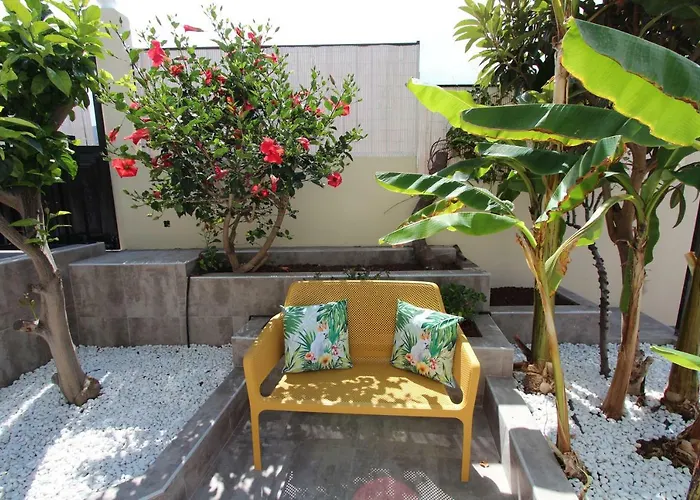 Viva Tropical Buzanada