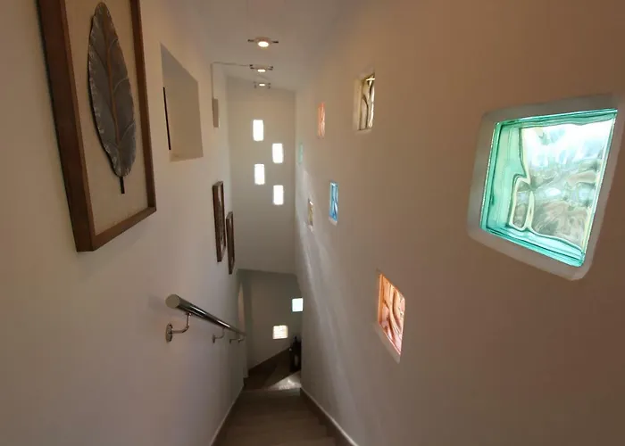 Viva Tropical فيلة *