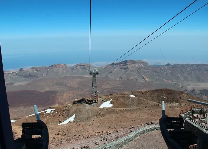 فيلة Viva Tropical Buzanada